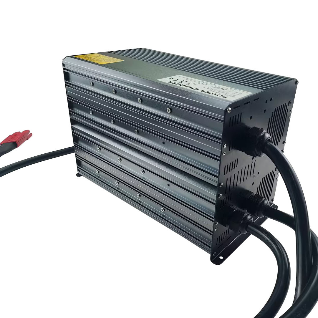 2920W 8S 29.2V 100A LiFePO4 Fa - đánh giá và giá Chargers