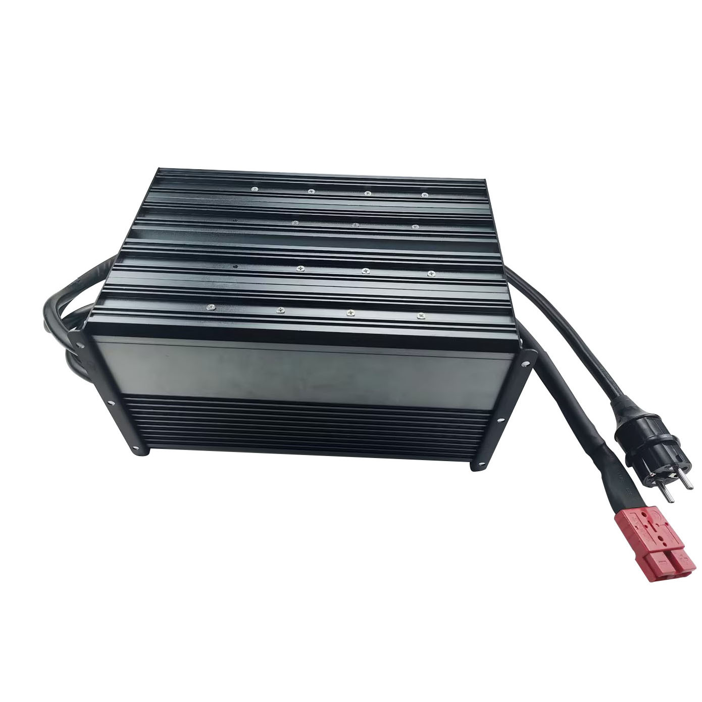 2920W 8S 29.2V 100A LiFePO4 Fa - đánh giá và giá Chargers
